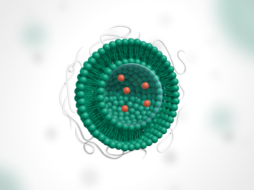 Diagram of a liposome.