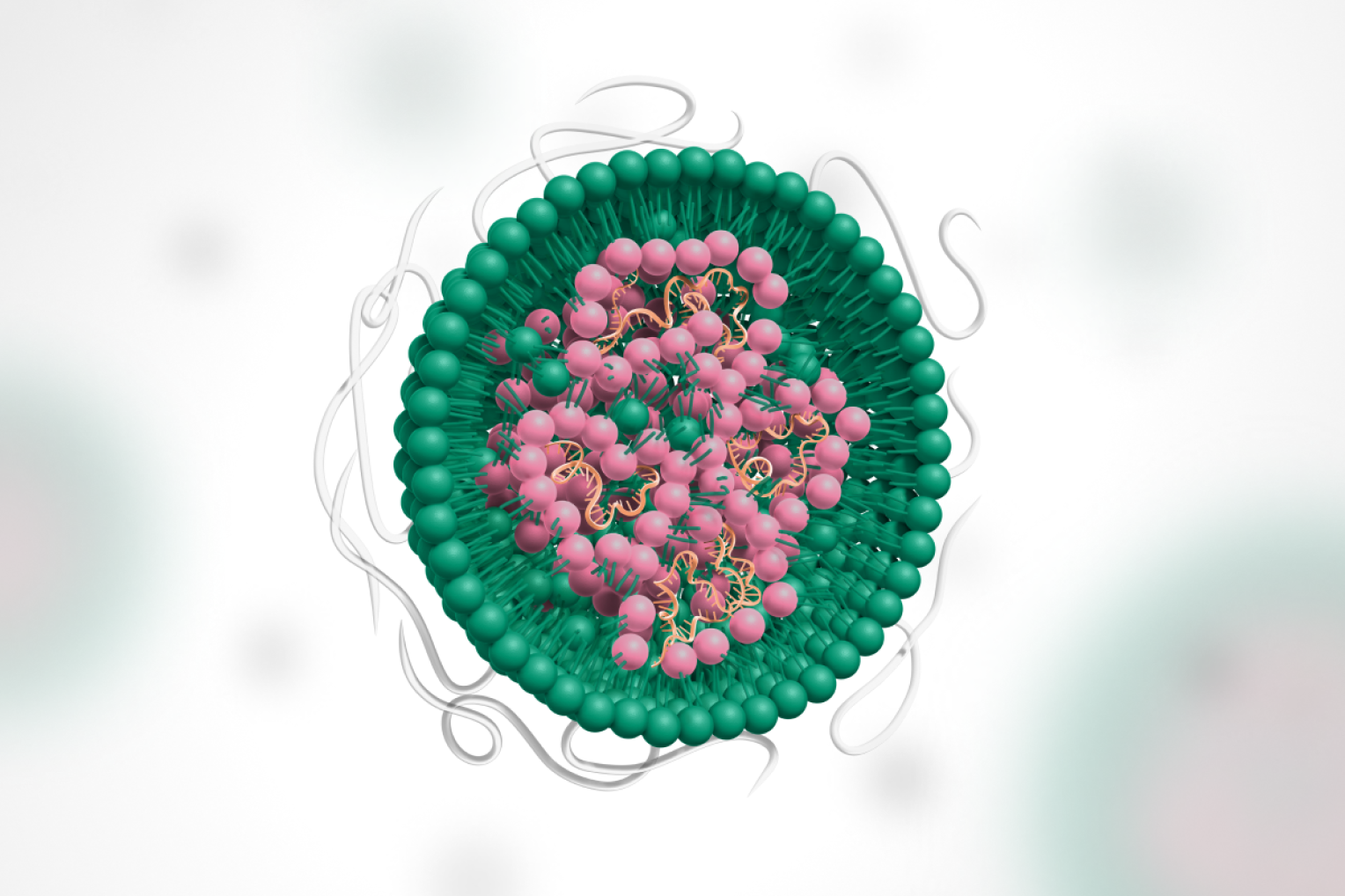 Illustration of a lipid nanoparticle LNP.