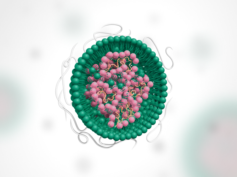 Illustration of a liposome.