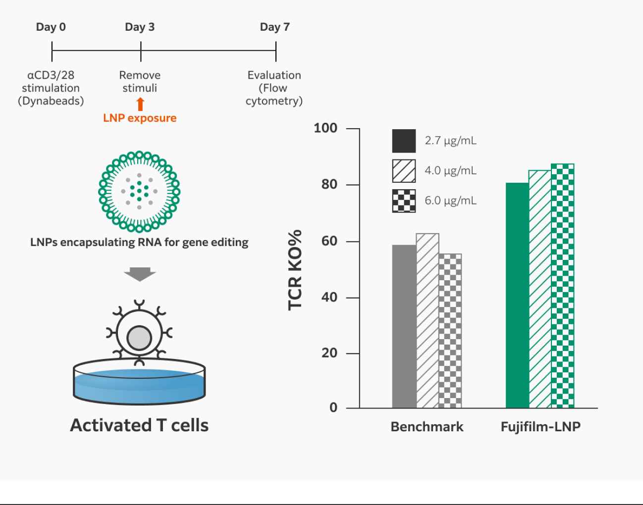 FUJIFILM LNP exposure results in approximately 1.5-fold increased ex vivo TCR knockout efficiency in activated T cells compared to benchmark levels. 