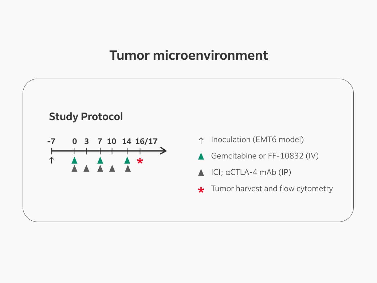 Study protocol for CTLA-4 inhibitor and gemcitabine combination therapy in gemcitabine partial sensitive EMT6 subcutaneously transplanted syngeneic models: FF-10832 or naked gemcitabine were intravenously administered once a week and CTLA-4 antibody was intraperitoneally administered twice a week for 3 weeks. After the treatment period (21 days), treatment was withdrawn, tumor harvested, and immune cells analyzed via flow cytometry.