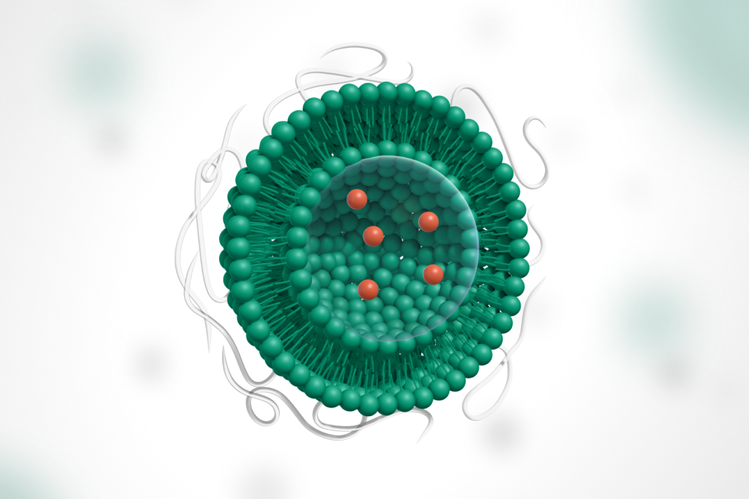 Illustration of Liposomes